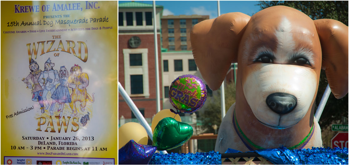 Dog Parade Deland 2024 Anny Malina