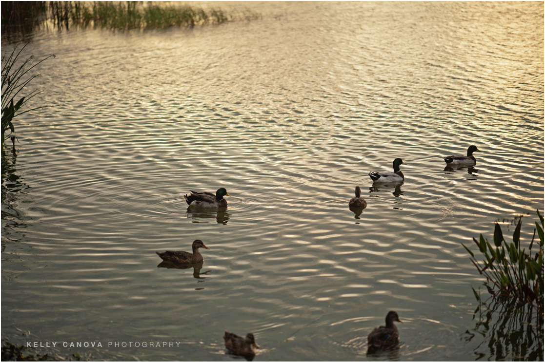 Winter Park Engagement Photographer