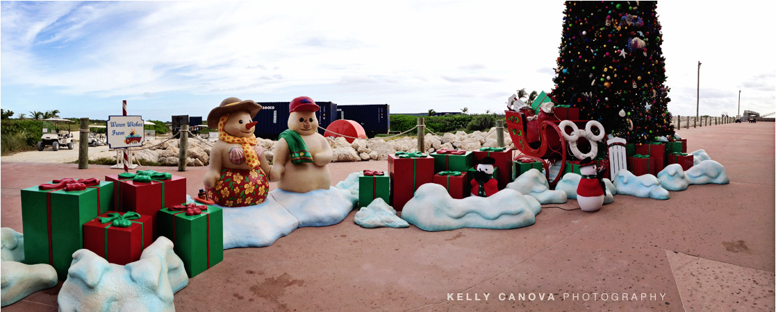 054_Disney_castaway_cay_wedding_Kelly_Canova_Photography