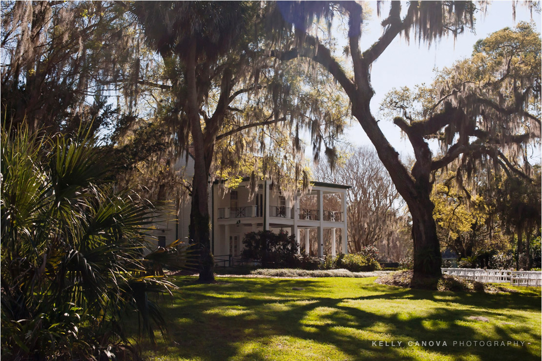 Orlando Engagement Photography - Leu Gardens