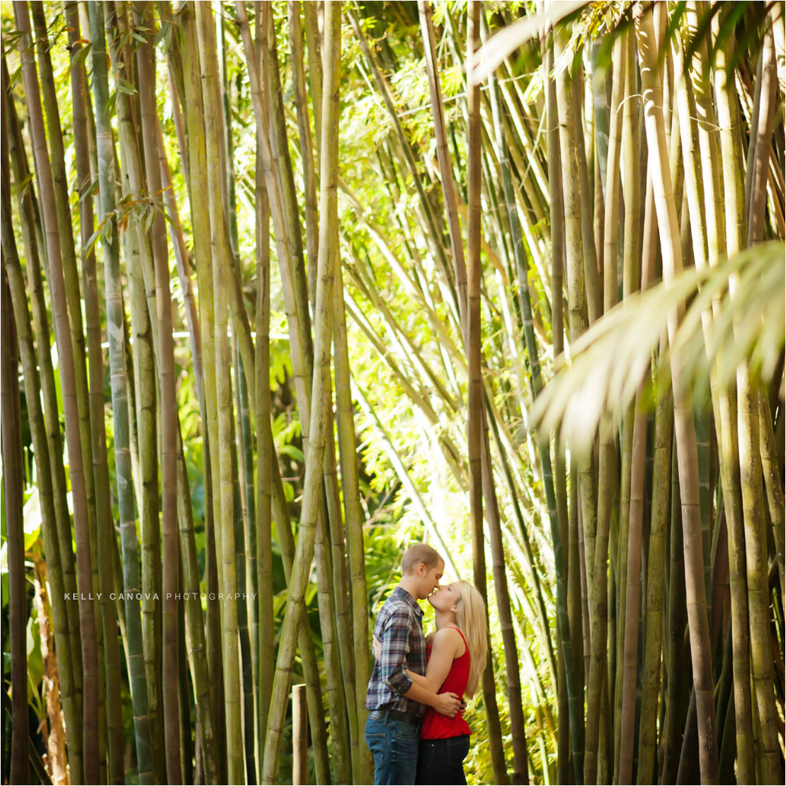 Orlando Engagement Photography - Leu Gardens