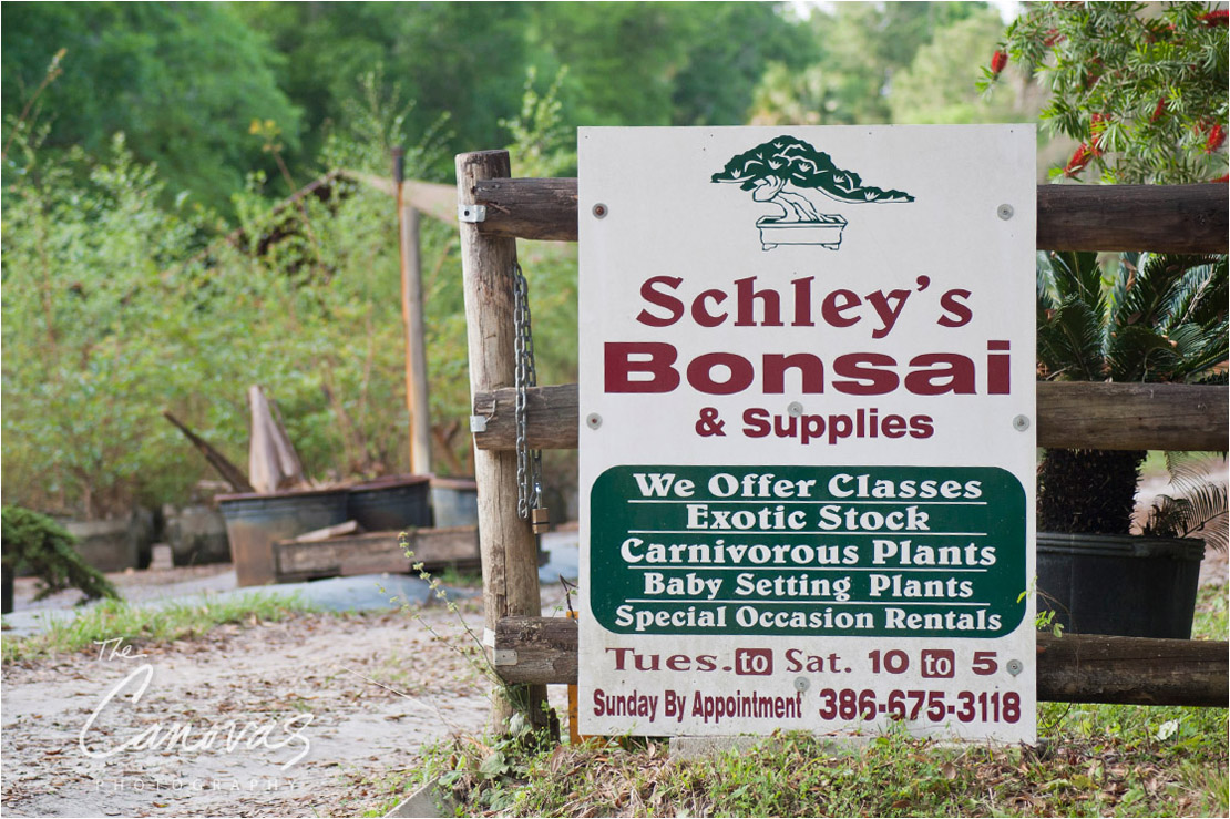 03_DeLand_Schleys_Bonsai_Openning_event_photography