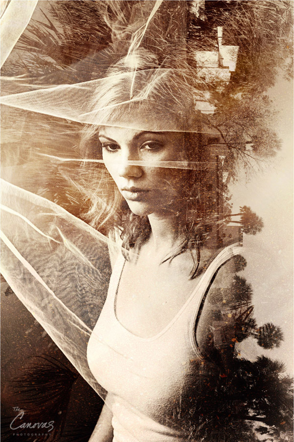 Orlando Portrait Photography
