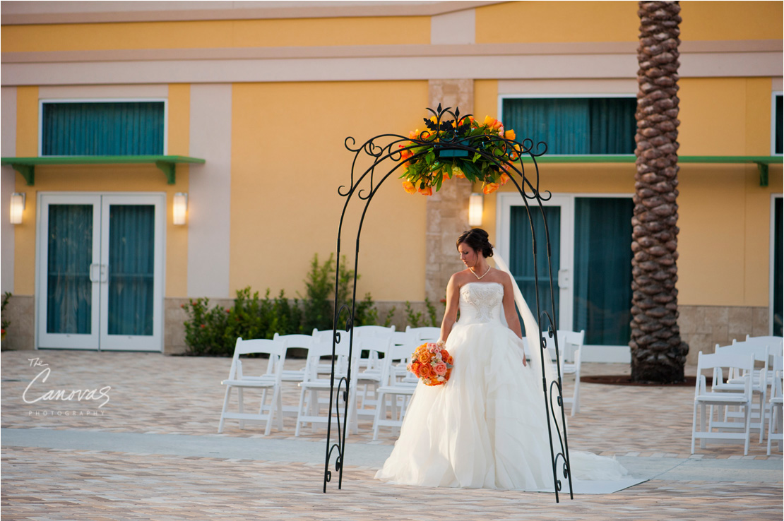 orlando fl wedding photographer