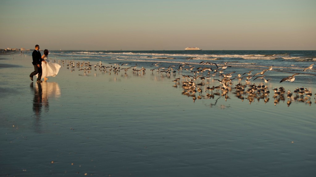 trash the dress photography orlando florida (3)
