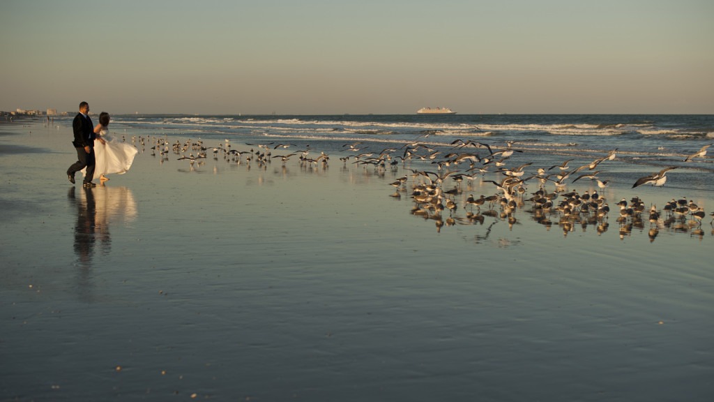 trash the dress photography (3)
