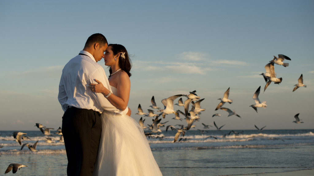 trash the dress photography (5)
