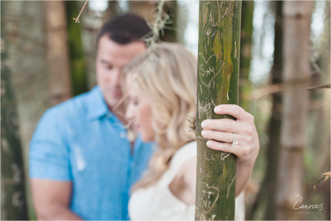 winter park engagement shoot