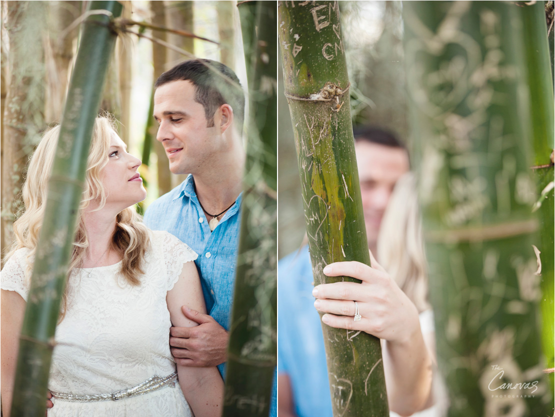 winter park engagement shoot