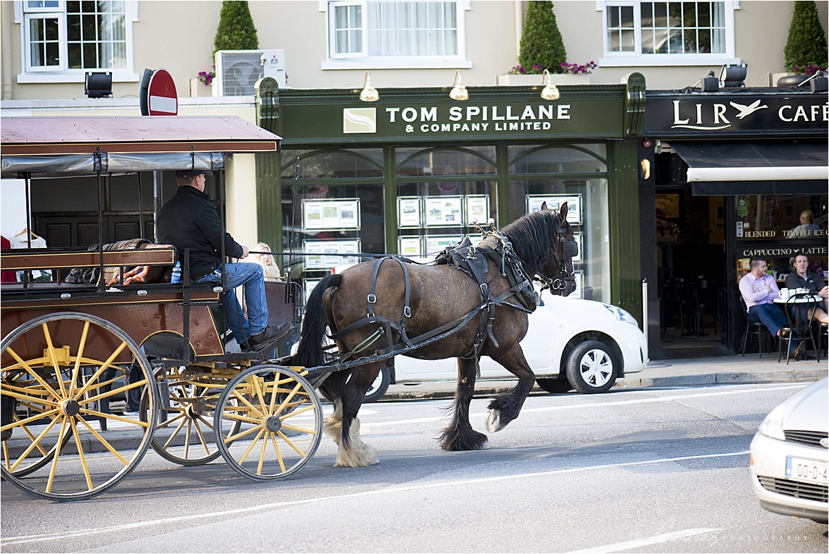 164_the_Canovas_photography_Ireland_travel_Dingle