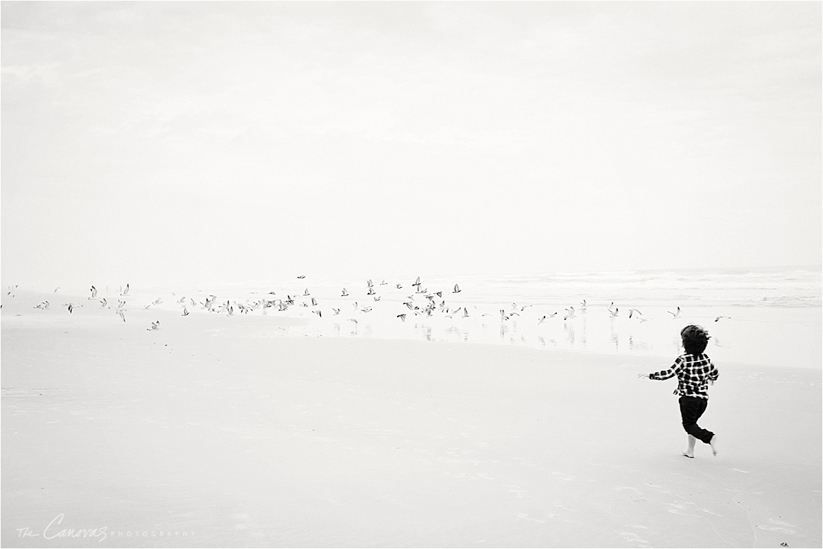 little boys chasing birds