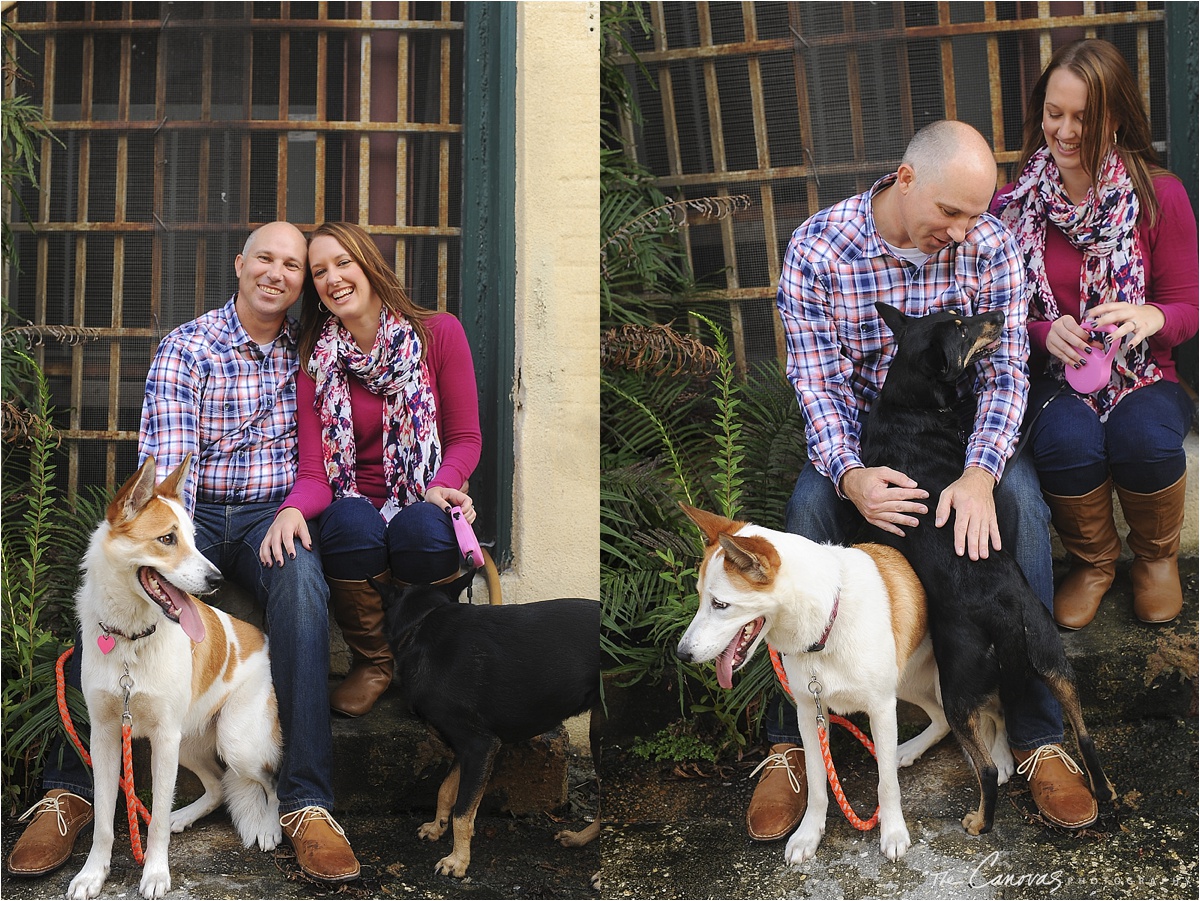 dogs at engagement shoot