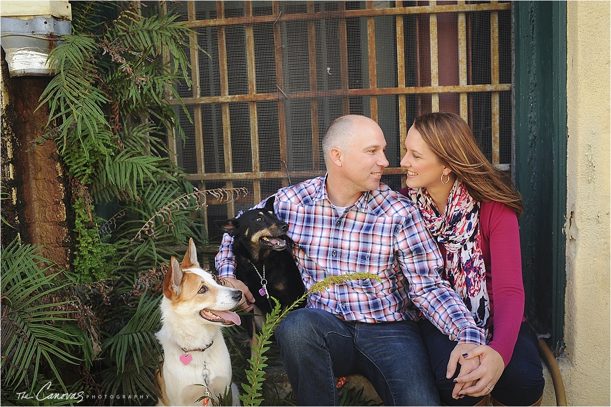 engagement shoot dogs