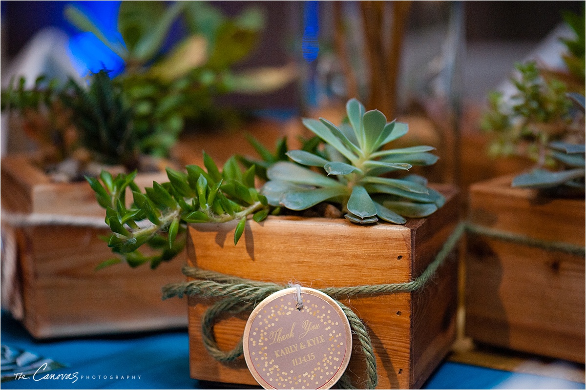 succulent plants wedding