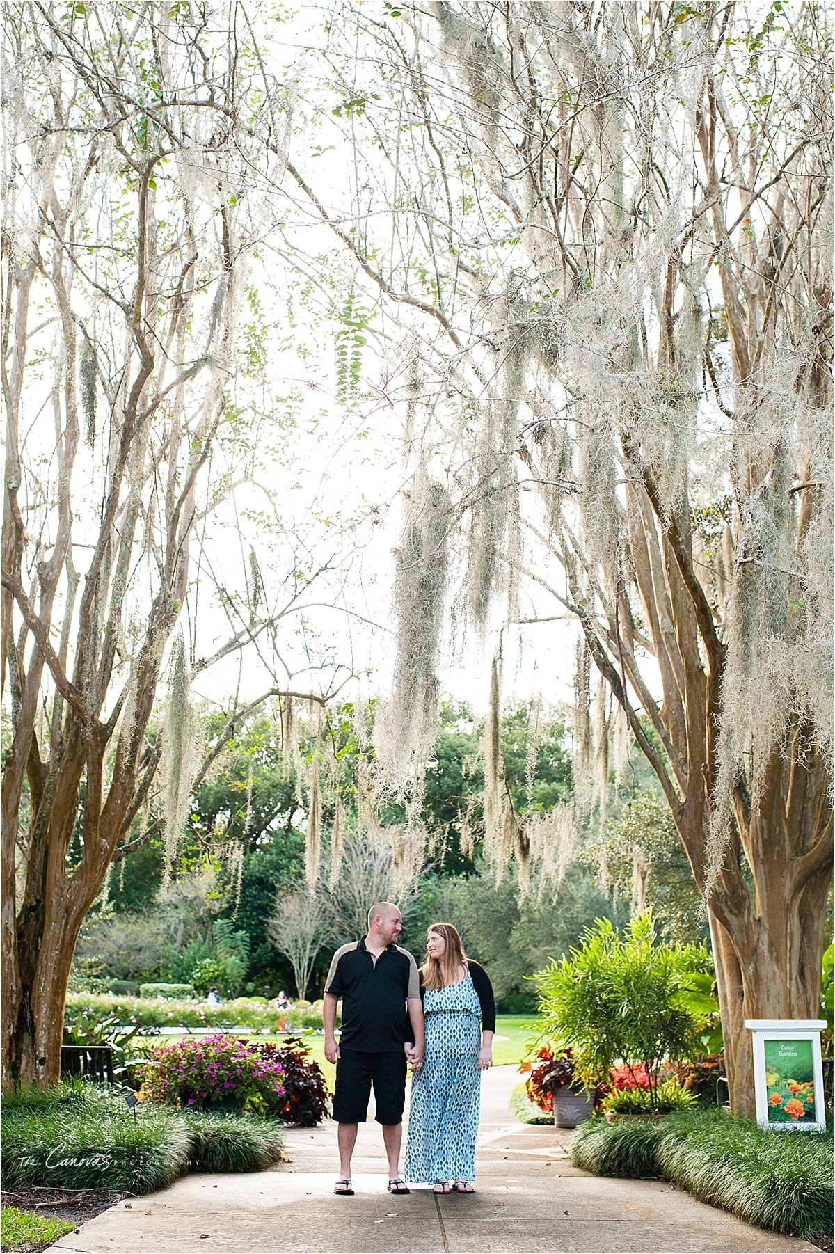 Engagement Photography | Leu Gardens Orlando, Florida