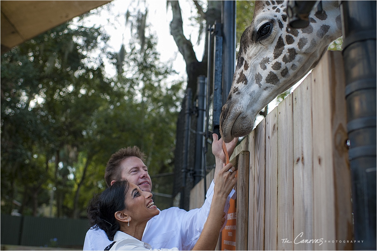 34_Central_Florida_Zoo_Sanford_enagement_canovas