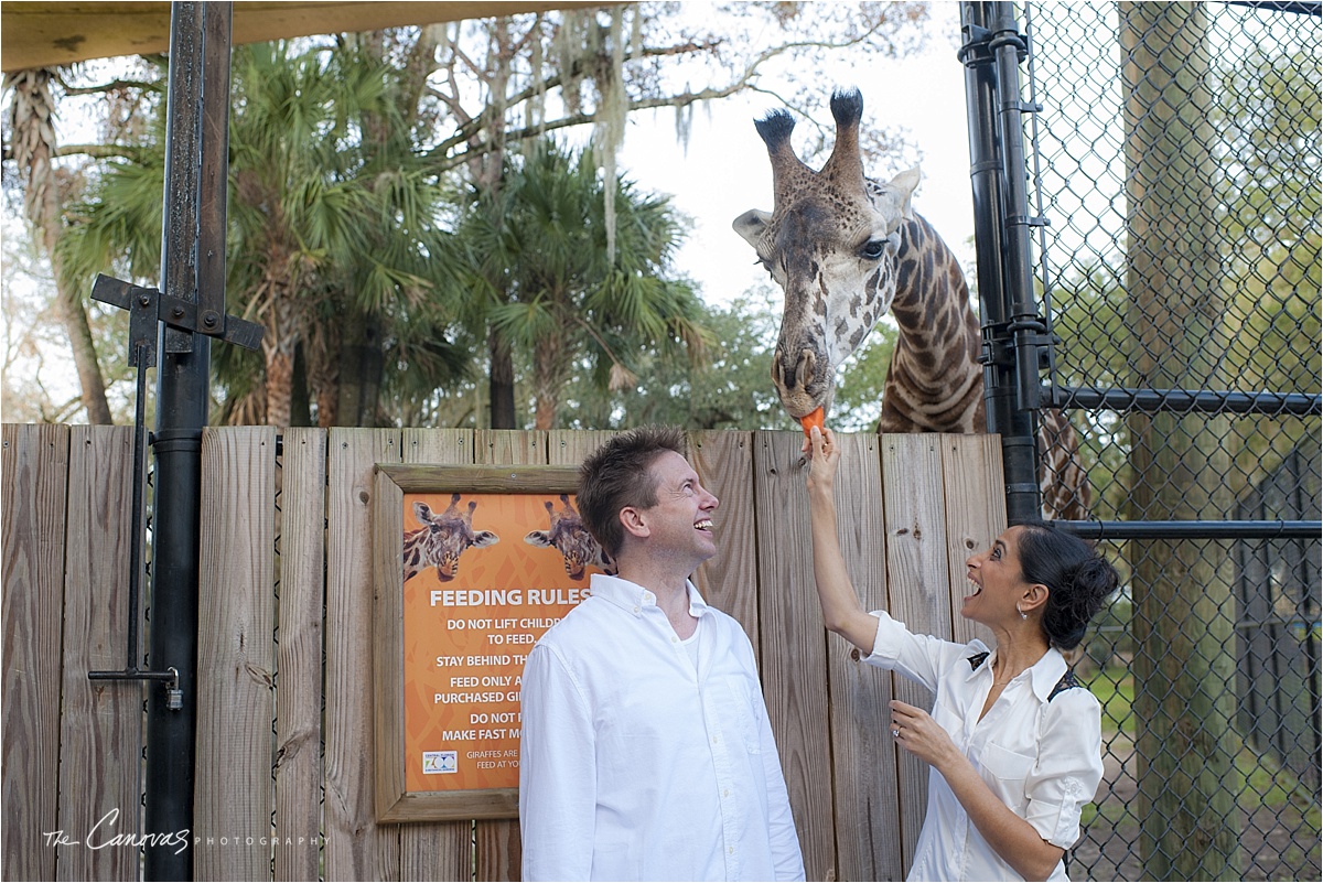 37_Central_Florida_Zoo_Sanford_enagement_canovas