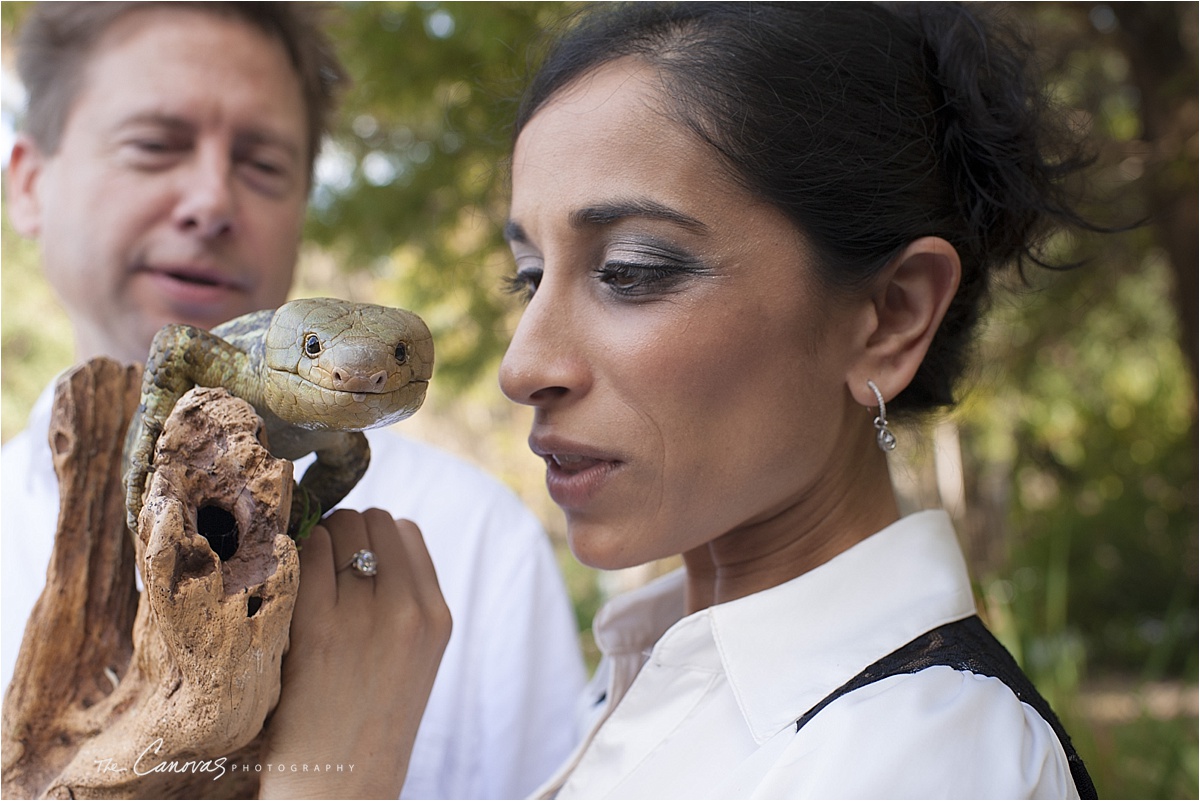 55_Central_Florida_Zoo_Sanford_enagement_canovas