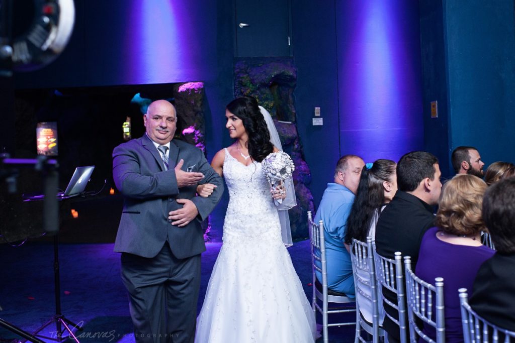 affordable wedding photographer tampa