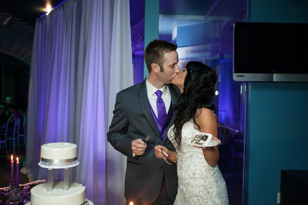 best wedding photographers in tampa