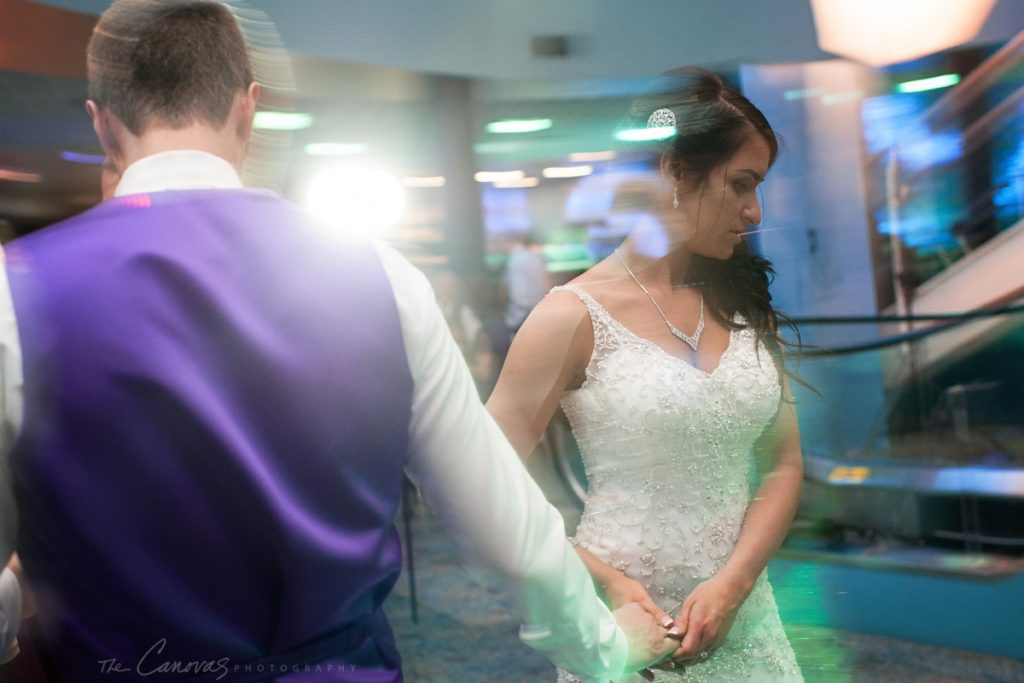 tampa bay wedding photographer