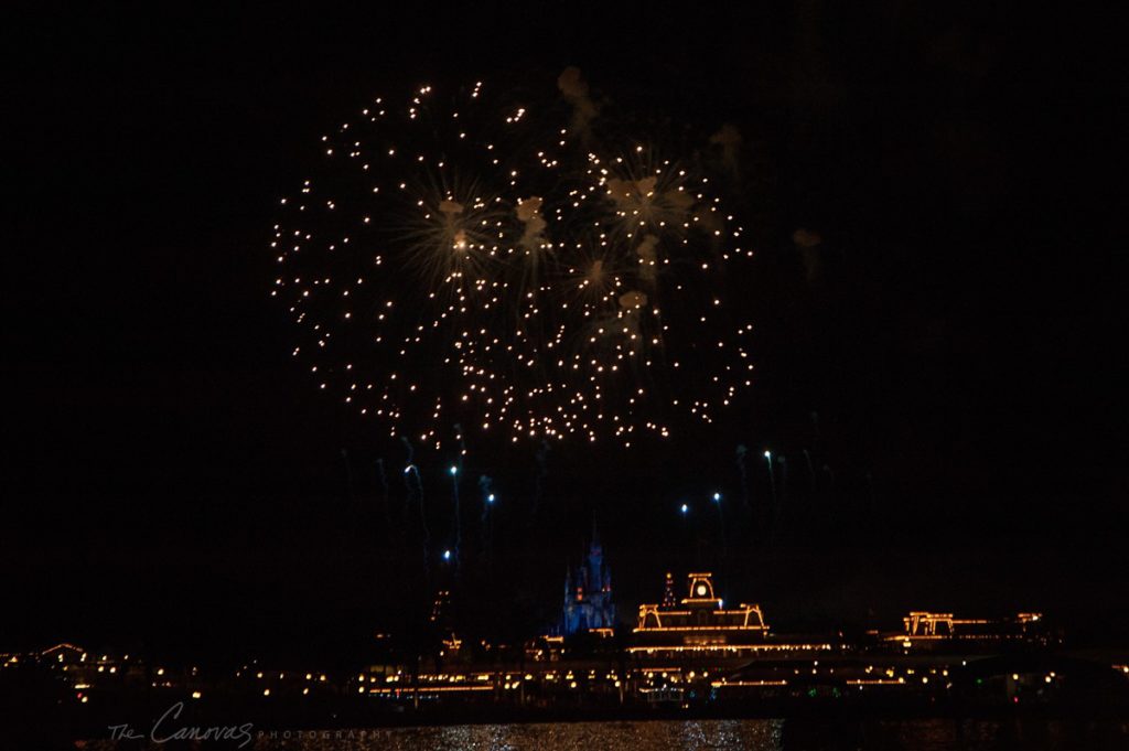 walt disney world engagement photos