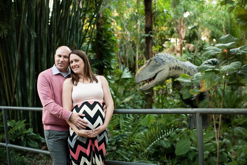 pregnancy photography orlando fl