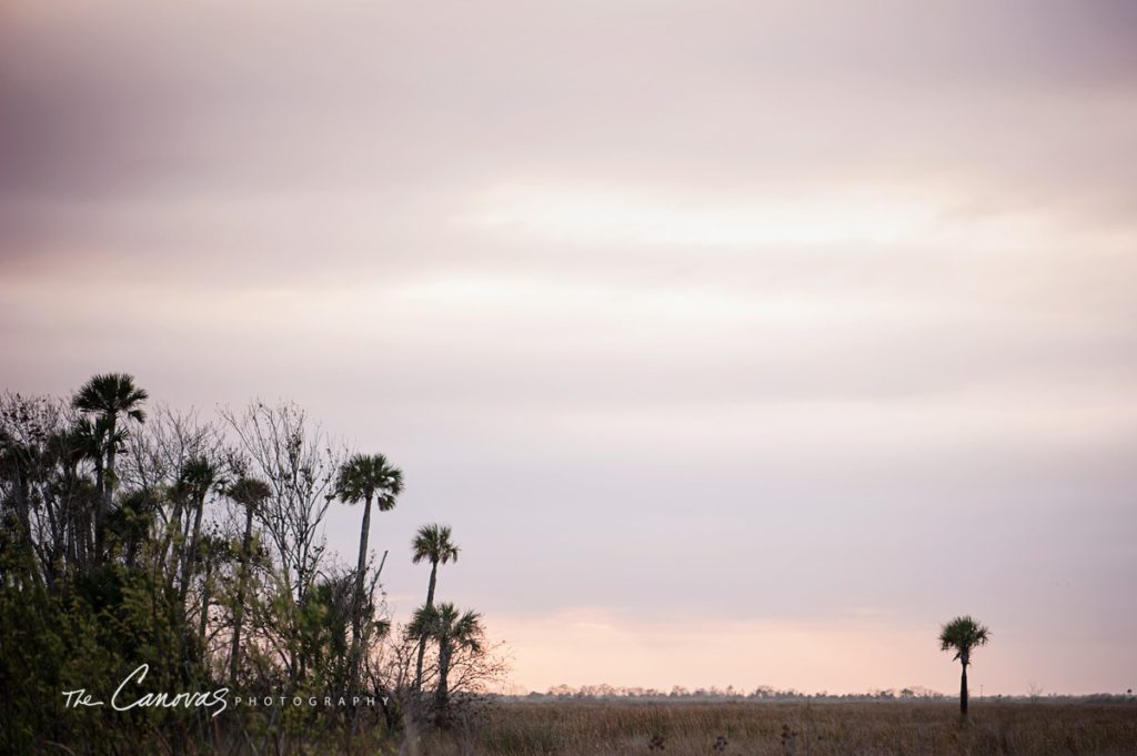 DeLand Engagement Photographer