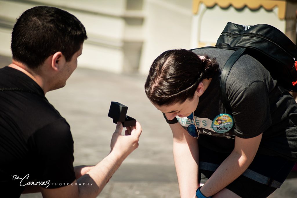 Magic Kingdom Proposal