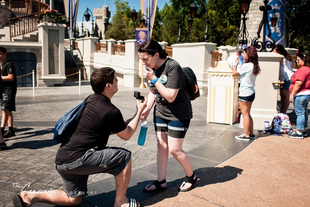 Magic Kingdom Proposal