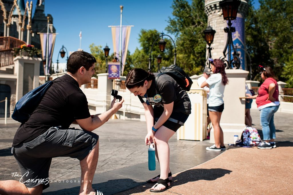 Magic Kingdom Proposal