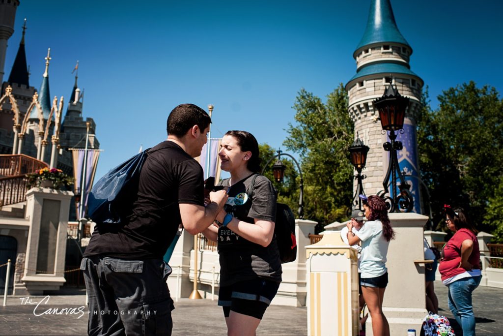 Magic Kingdom Proposal