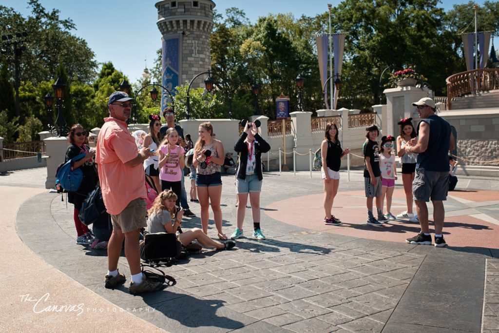 disney world engagement