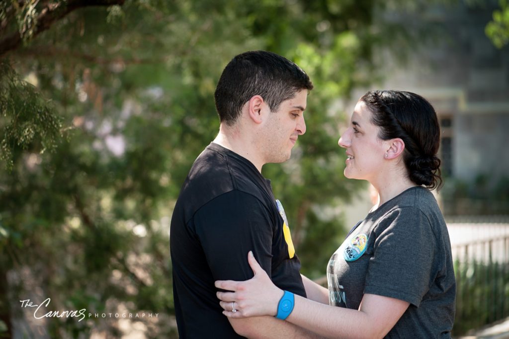 disney world engagement