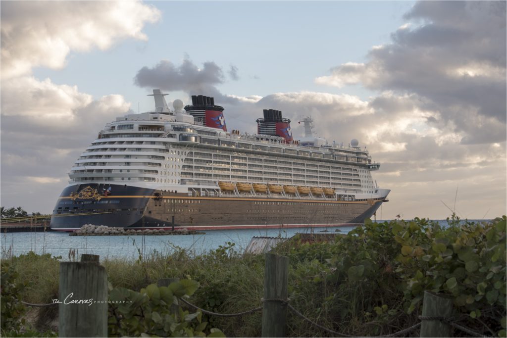 Disney Dream Cruise Wedding Photography