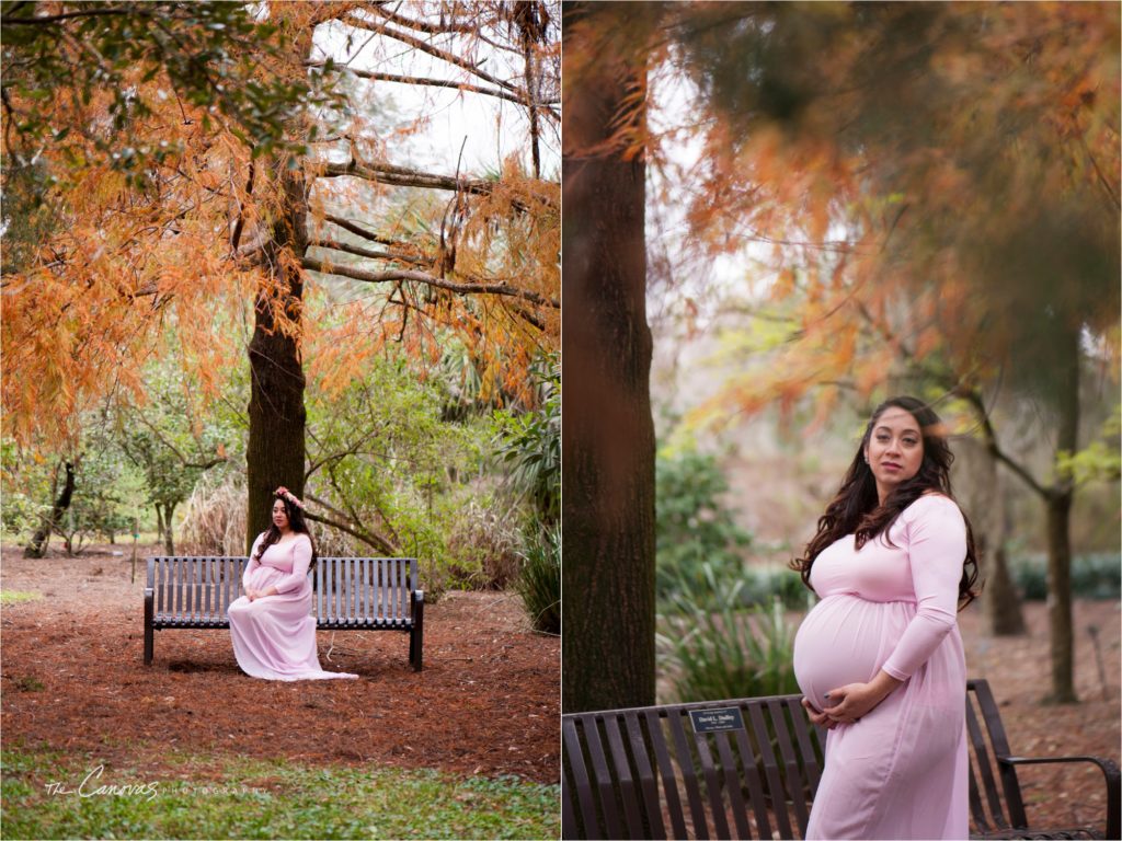 Orlando Maternity Photography