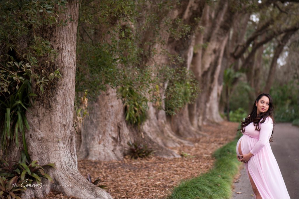 Orlando Maternity Photography