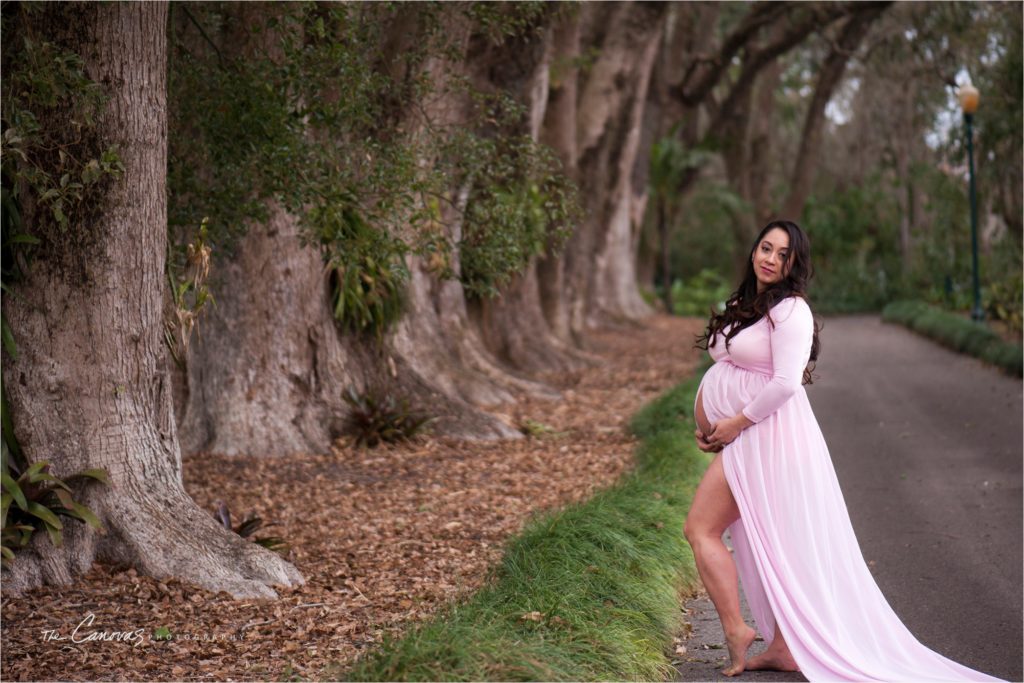 Orlando Maternity Photography