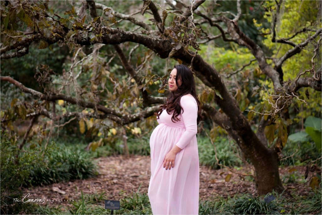 Orlando Maternity Photography