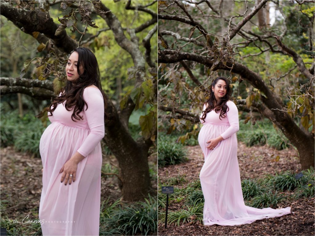 Orlando Maternity Photography