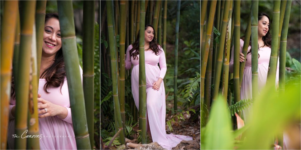 Orlando Maternity Photography