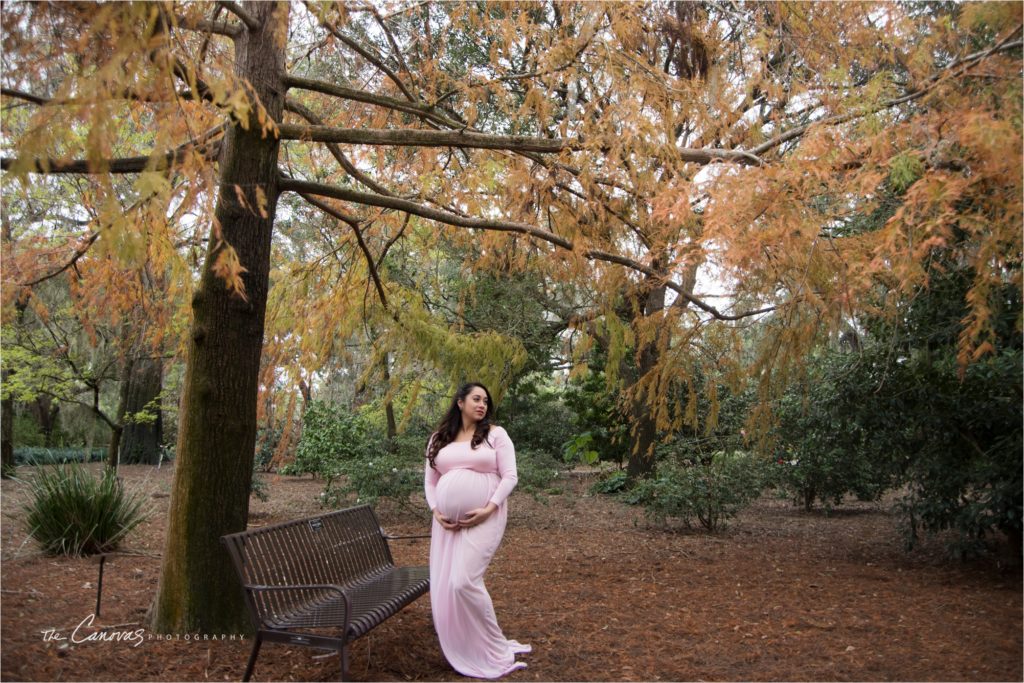 Orlando Maternity Photography