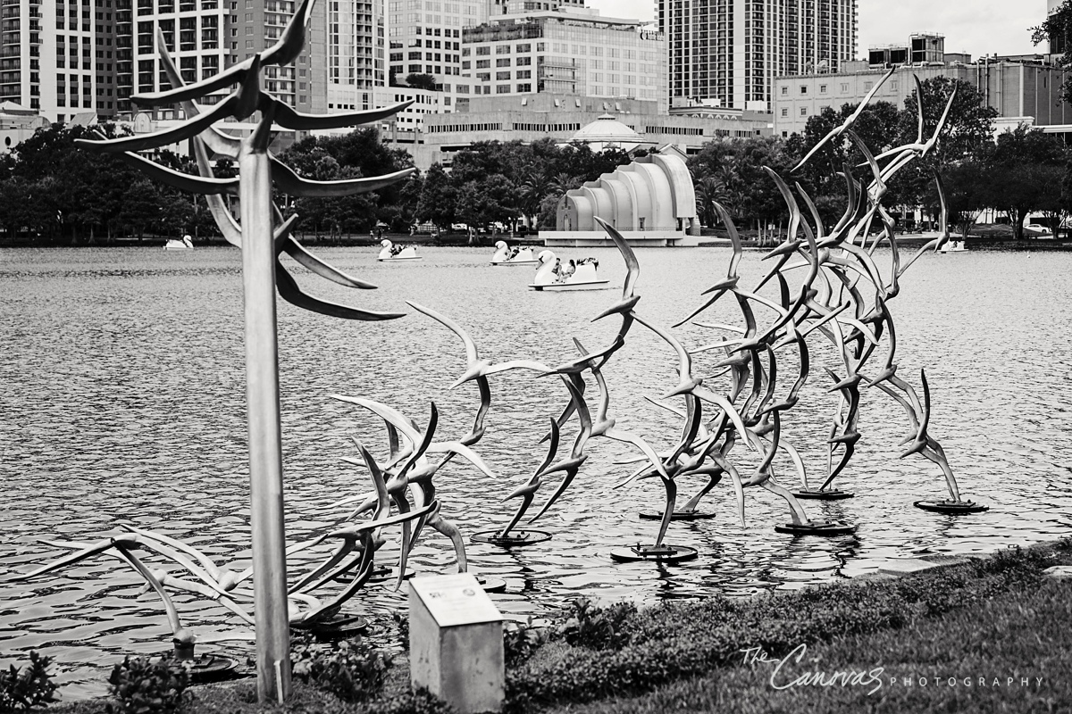 Orlando Proposal Photography