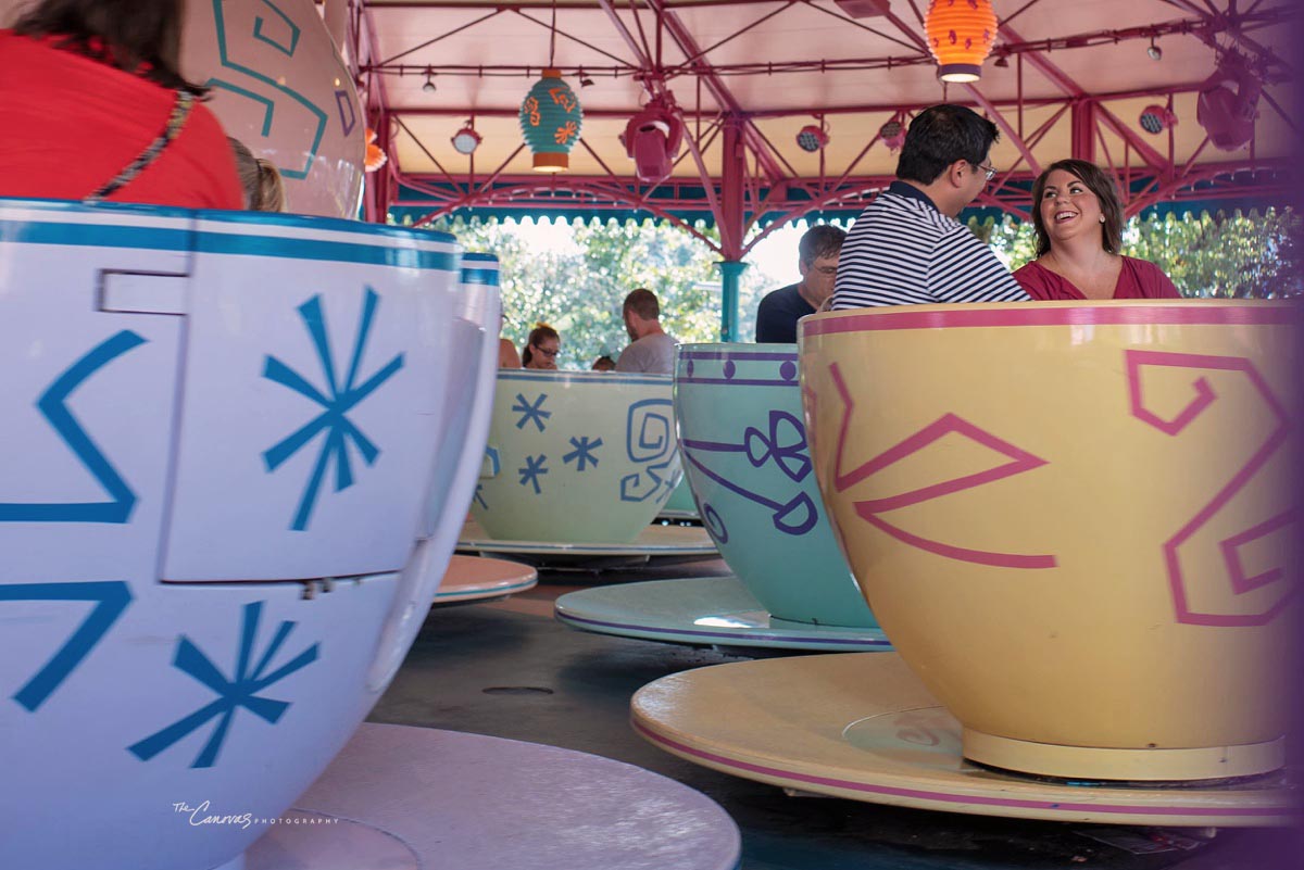 Disney's Magic Kingdom Engagement 