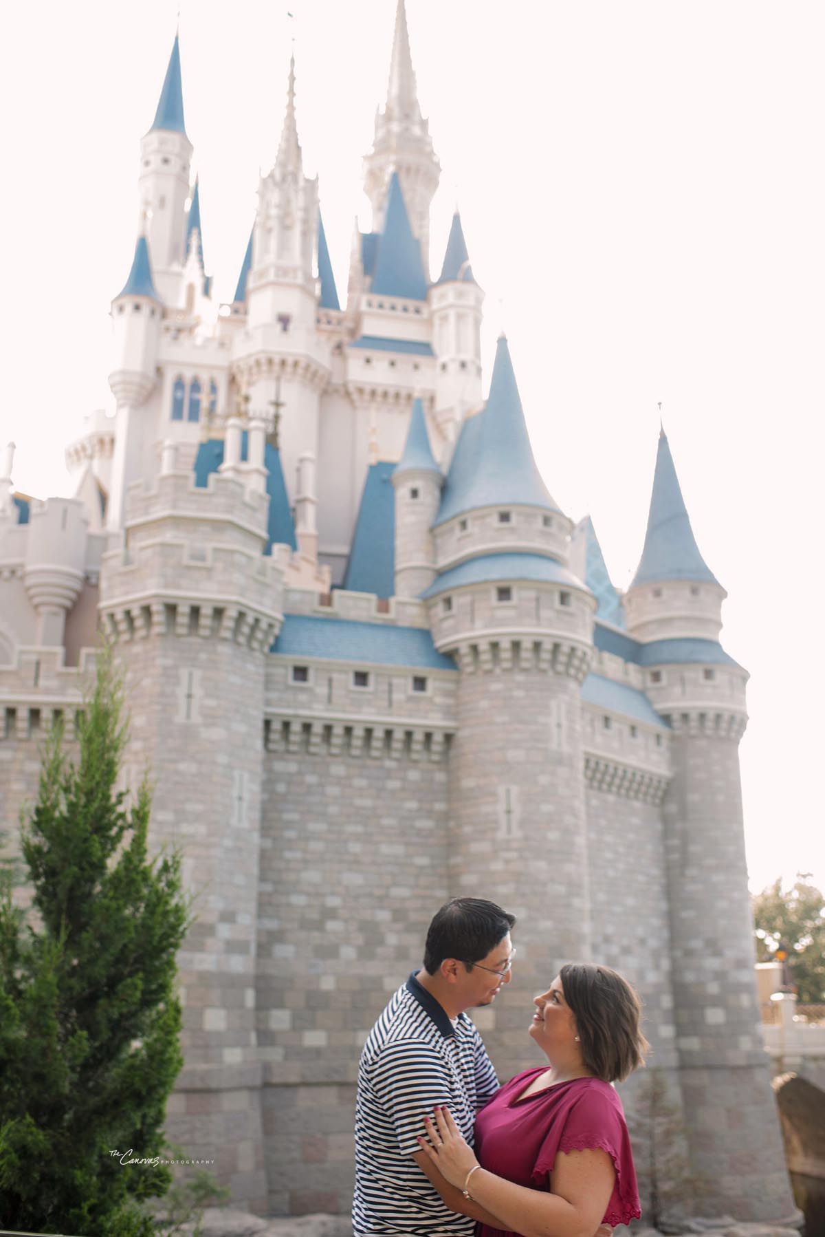 Disney's Magic Kingdom Engagement 