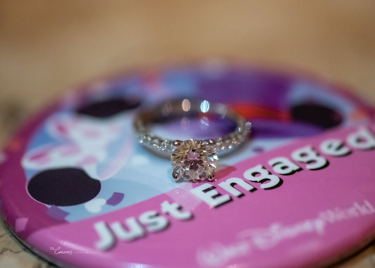 proposal photography near me