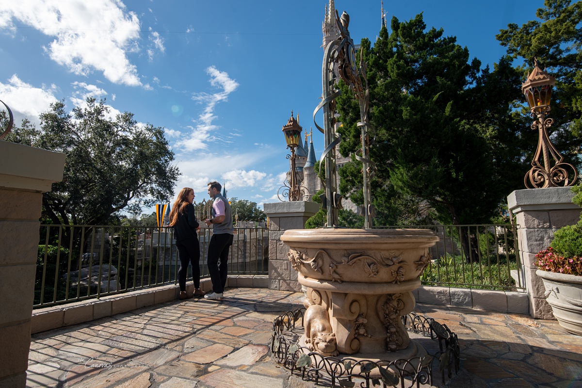 Proposal at Disney World Florida Photography