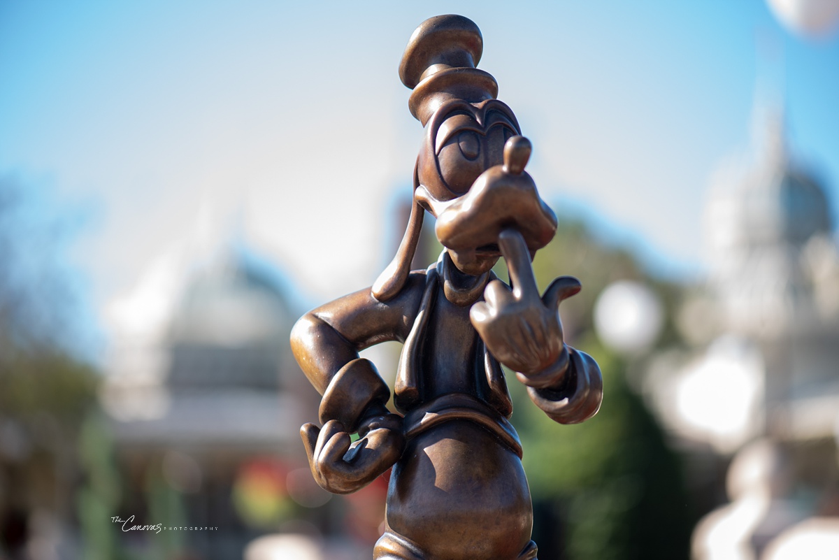 Magic Kingdom Engagement Photography