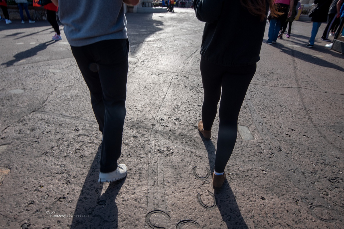 Proposal at Disney World Florida Photography