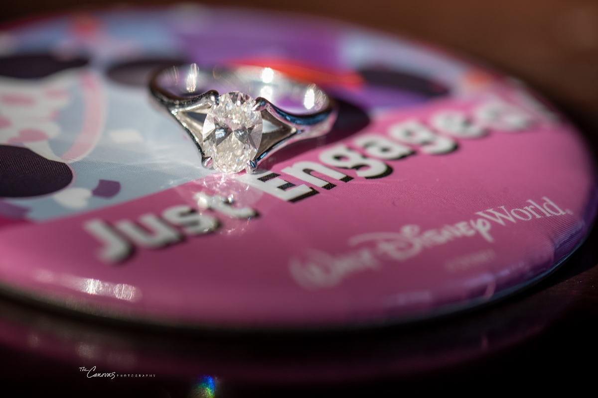 disney engagement photos